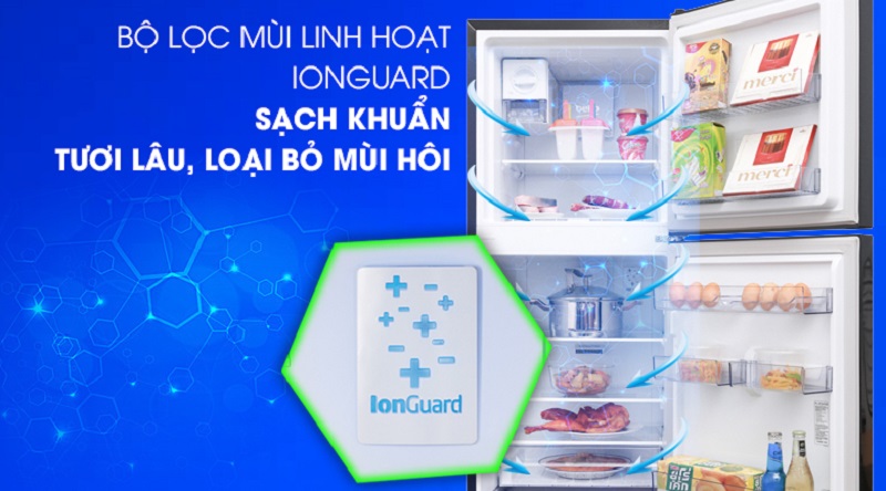 Công nghệ Ion guard kháng khuẩn, khử mùi hiệu quả - Tủ lạnh Beko Inverter 250 lít RDNT250I50VWB