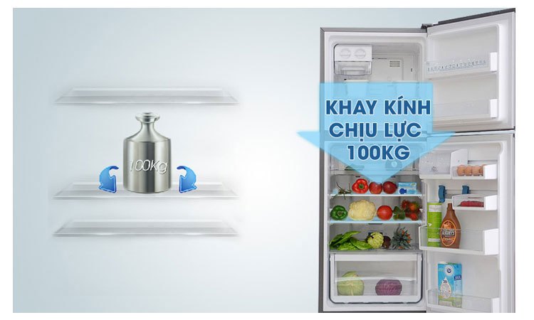 Tủ lạnh Electrolux EBB3500PA-RVN khay kính bền bỉ, bố trí được nhiều thực phẩm