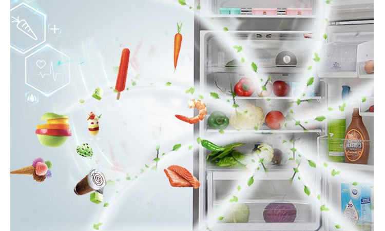 Tủ lạnh Electrolux EBB3500PA-RVN khử mùi hôi hiệu quả