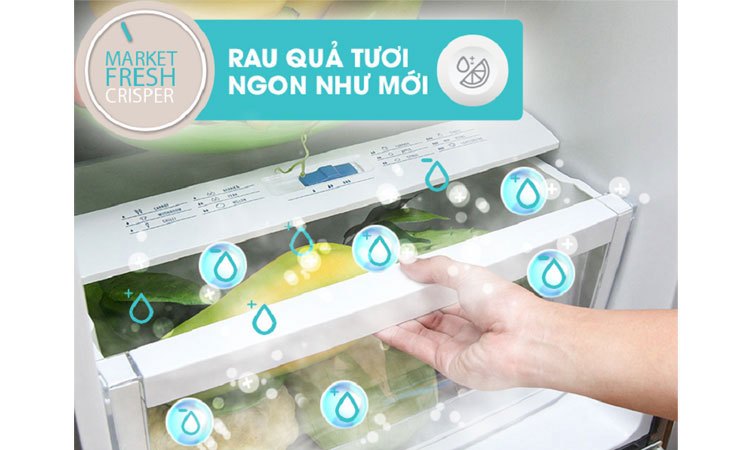 Tủ lạnh Electrolux EBB3500PA-RVN ngăn rau quả giữ độ ẩm tốt, không bị héo úa