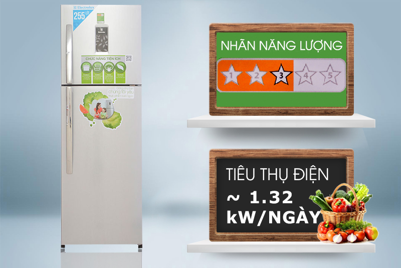 Tủ lạnh Electrolux ETB2600PE-RVN tiết kiệm năng lượng tương đối tốt