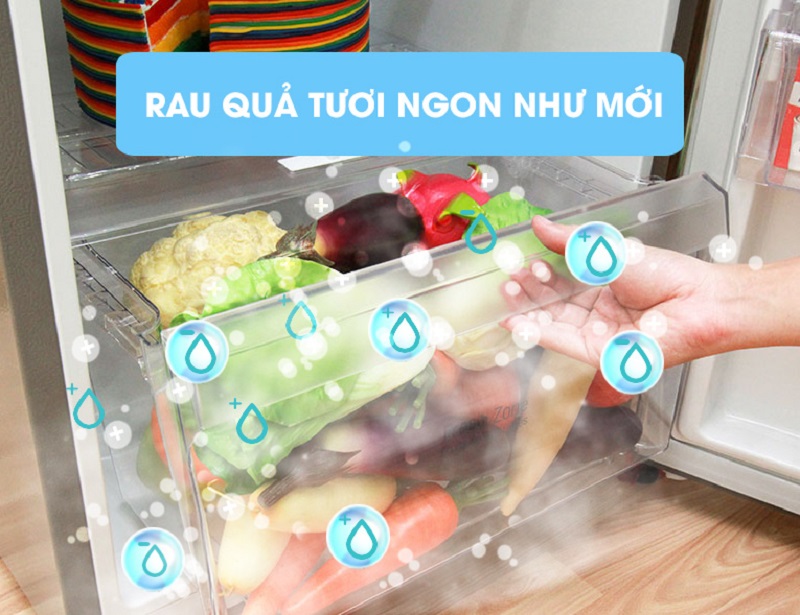 Tủ lạnh LG GN-L205PS có ngăn rau quả với kích thước lớn