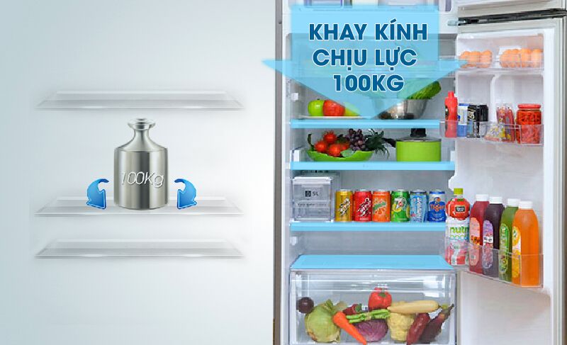 Tủ lạnh Samsung RT38FEAKDSL có khay kính chịu lực